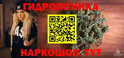 мдпв Татарск