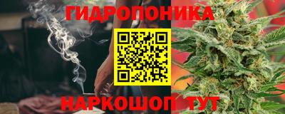 мдпв Татарск