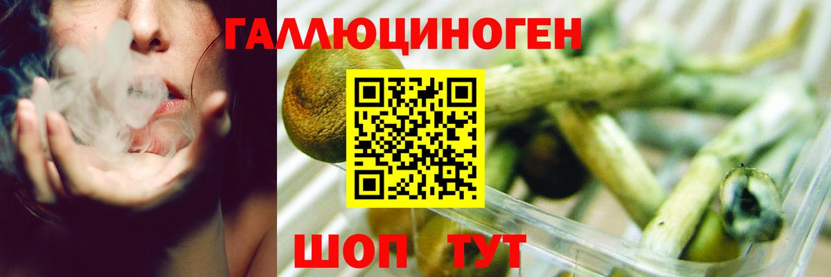 Баксан  Галлюциногенные грибы ЛСД  Псилоцибиновые грибы ЛСД  Вход с VPN 